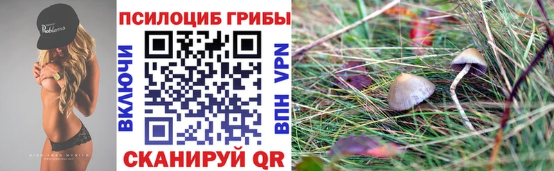 мега как войти  Берёзовский  Псилоцибиновые грибы мухоморы 